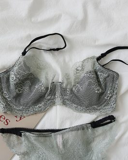 Feminine lace ultra-thin bra panties set