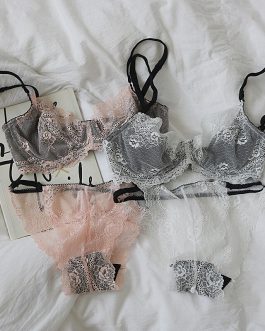 Feminine lace ultra-thin bra panties set