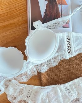 Ladies lingerie lace embroidery women’s underwear sexy