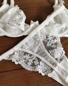 Sexy lace embroidery thin cutout T-pants bra set