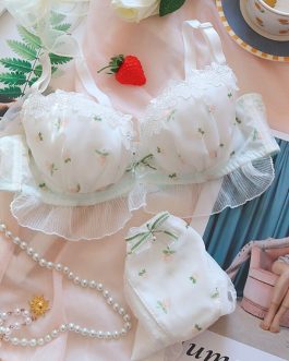 Sweetheart Peach~Girl Underwear Japanese Women’s Chiffon