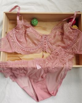 semi-perspective bra panty set