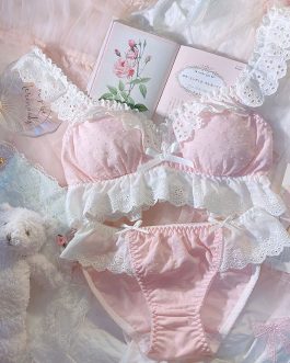 Wriufred Sweet floral underwear pure cotton embroidered daisy lace bra set