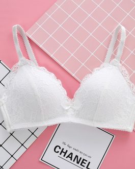 Sexy Sweet Lace Wireless Women‘s Bras Soft Underwear Gather Push Up Brassiere Hollow Out Female Seamless Bralette Big Lingerie